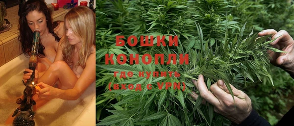 дмт Аркадак