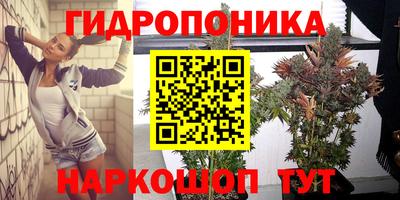 ПСИЛОЦИБИНОВЫЕ ГРИБЫ Славгород