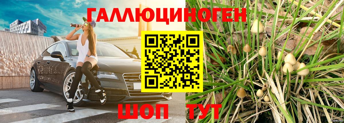 Новозыбков  Галлюциногенные грибы мицелий  Галлюциногенные грибы GOLDEN TEACHER  Вход с VPN 